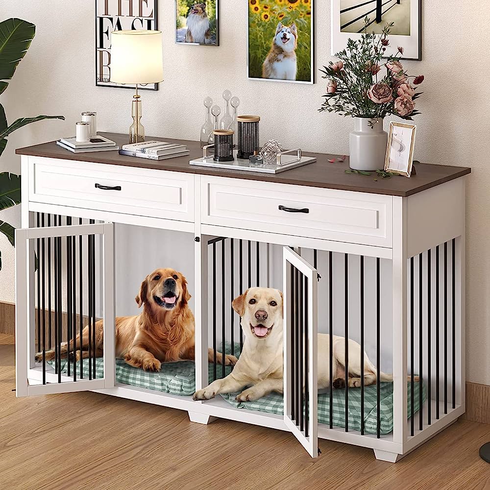 Dog Doors, Houses & Furniture